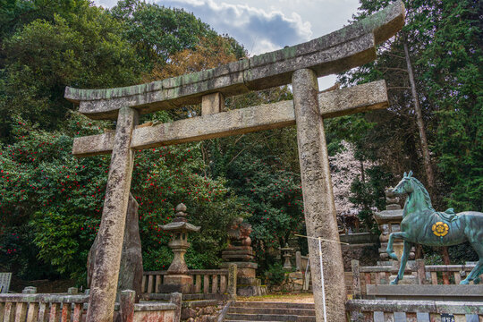 Suga Shrine in the Nagasawa Area of Imabari, Ehime, Japan &ndash; Cherry Blossoms in Spring