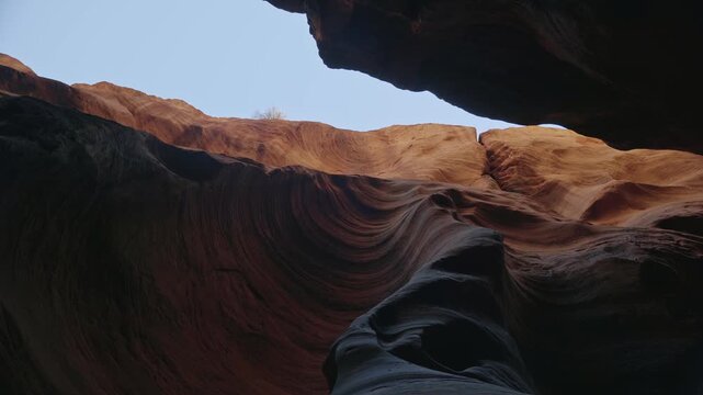 Wavy sandstone walls curve through narrow Buckskin Gulch slot canyon lit by soft daylight above
