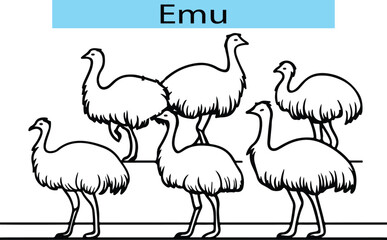 Naklejka premium Black Emu outline drawing, Emu vector illustration