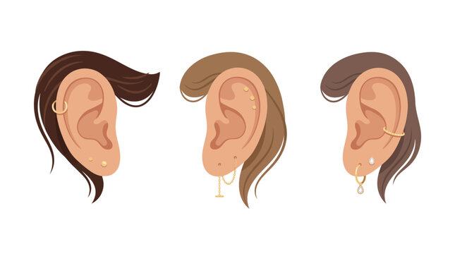 Detailed vector illustration set showcasing human ears adorned with a diverse range of fashionable piercings and trendy earrings, reflecting modern style and personal expression
