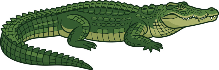 Obraz premium Green crocodile vector cartoon illustration, dangerous alligator predator isolated on white background for design