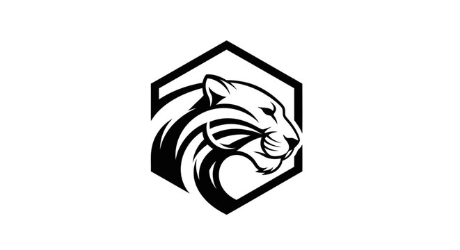 Raccoon Face in Hexagon Shape Logo.