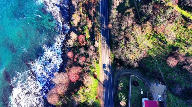 Cinematic aerial drone shot from approximately 150 meters above the coastline. Turquoise blue sea and rocky formations stretch along the left side, while dense green forest covers the right. A winding