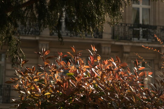 Paris, France