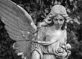 Fototapeta premium Beautiful angel statue holding roses in monochrome cemetery atmosphere