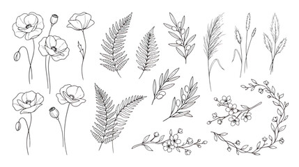 Minimalist botanical line art collection, hand drawn wildflower and fern leaf vector set, elegant floral sketches for wedding invitations and branding © Dream Time Studio
