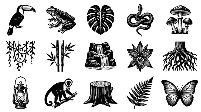 Jungle Animals and Tropical Plants Vector Icon Set in Black and White Engraving Style