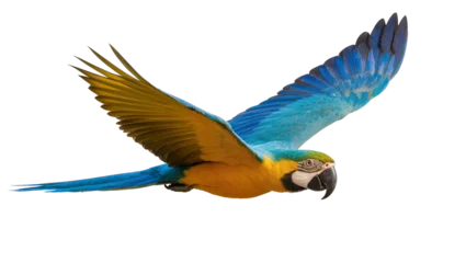 Fototapeten Papagei Blue and yellow macaw parrot in flight, isolated on transparent background  © AnaMaria
