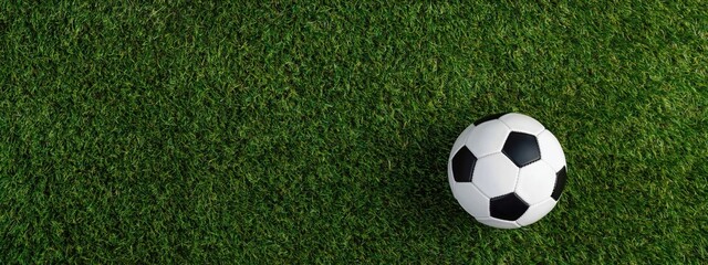 Obraz premium Soccer ball resting on green grass field