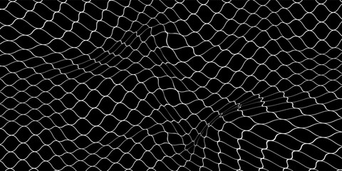Net texture pattern on white background. Net texture pattern for backdrop and wallpaper. Realistic net pattern with black squares. Geometric background, vector Eps10 © Rania