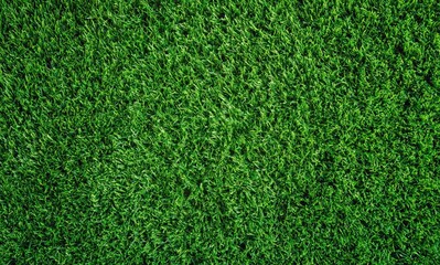 Obraz premium Lush green grass creating a natural texture background