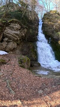 Life in the woods at the waterfall at the source of the Tiber River, Italian Appennines