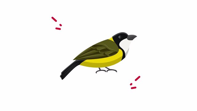 Great tit bird in its natural habitat, perfect for nature and wildlife themes in educational materials, articles, and social media.