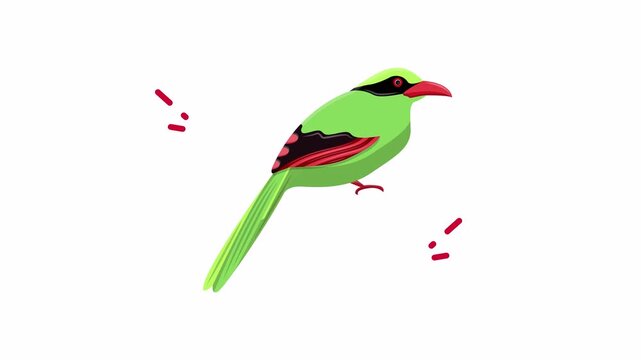 Green common iora bird, suitable for nature, wildlife, birdwatching, educational materials, conservation projects, and ecofriendly campaigns. Vibrant and unique.