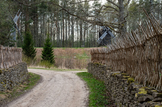 A rural scene with a dirt road curving between stone walls topped with woven wooden fences, leading toward two traditional wooden windmills surrounded by tall trees
