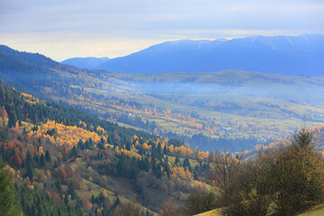 Obraz premium Autumn mountain landscape with colorful trees and distant blue peaks