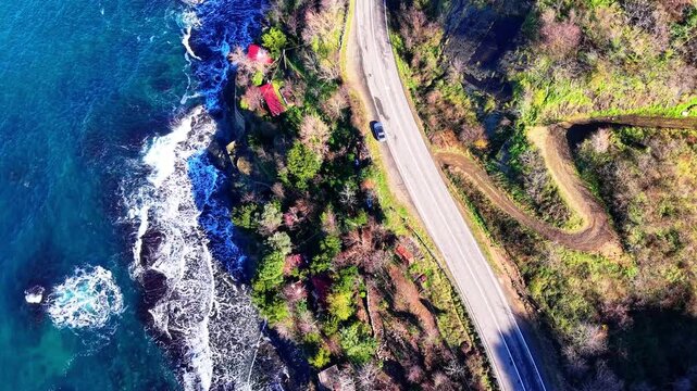 Smooth bird&rsquo;s-eye drone footage slowly descending while moving forward over a sunny coastal landscape. The camera remains pointed straight down, revealing a vivid contrast of asphalt road, dense green