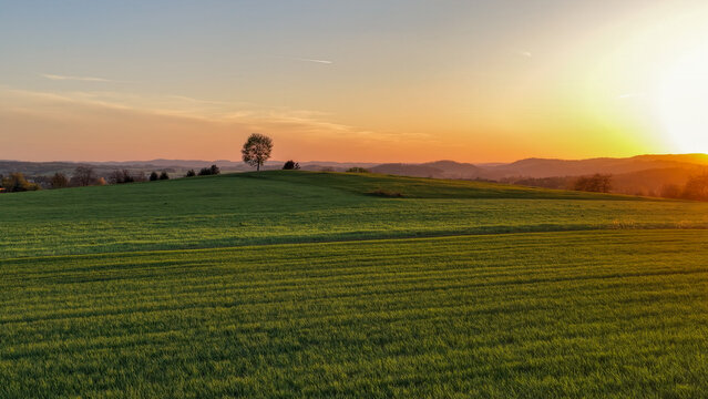 Aerial panoramic view of silhouette of the tree on horizon