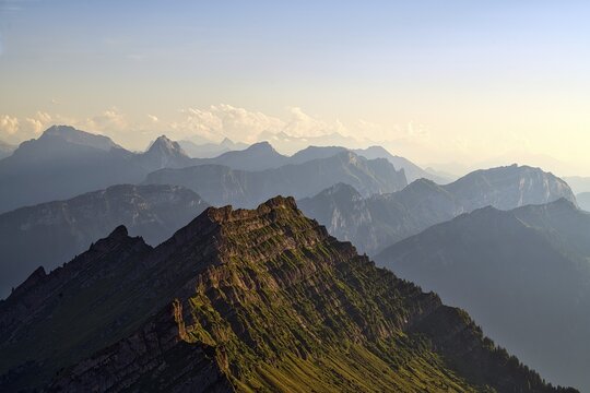 View from Europe's highest Nagelfluhberg Speer, Mount Federispitz with Central Swiss Alps in the evening light, Canton St. Gallen, Switzerland