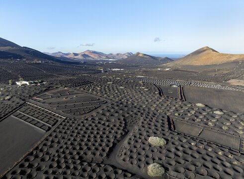 Typical drywall viticulture in volcanic landscape, on volcanic ash, lapilli, aerial view, vines, La Geria wine-growing region, Lanzarote, Canary Islands, Spain
