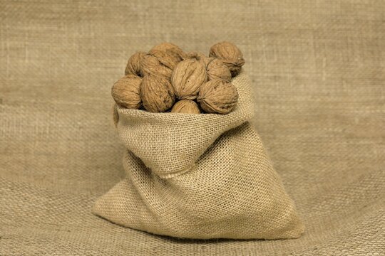 Persian walnut (Juglans regia), fruits, nuts, with shell, unshelled, Germany
