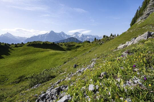 Picturesque mountain landscape, mountain panorama with peaks Eiger, M&ouml;nch and Jungfrau, Bernese Alps, Bernese Oberland, Switzerland
