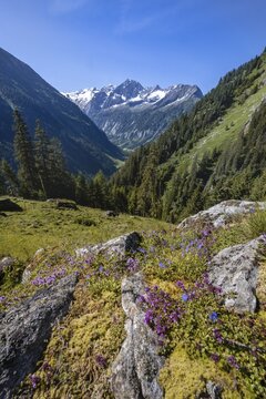 Mountain landscape, Zamser Eck, Kleiner Hochsteller, K&auml;lberlahnerspitze and Hochsteller, Zillertaler Alps, Zillertal, Tyrol, Austria