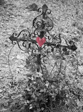 Iron cross with red heart, black and white, grave in a cemetery, France