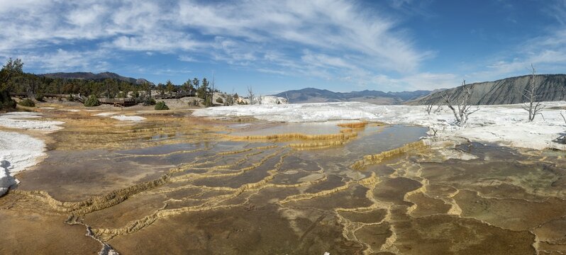 Dead trees on sinter terraces, hot springs, orange mineral deposits, Palette Springs, Upper Terraces, Mammoth Hot Springs, Yellowstone National Park, Wyoming, USA