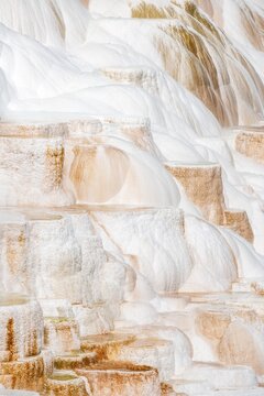 Sinter terraces with calcareous tuff deposits, hot springs, colorful mineral deposits, Palette Springs, Lower Terraces, Mammoth Hot Springs, Yellowstone National Park, Wyoming, USA