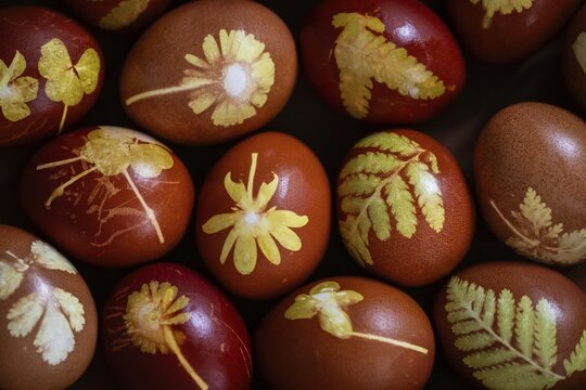 Easter eggs traditionally colored with onion peels, tights and small plants and flowers