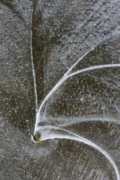 Ice structures, Emsland, Lower Saxony, Germany