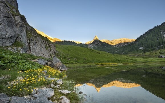 Schottmalhorn reflected in lake Funtensee at sunset, Steinernes Meer, Berchtesgaden National Park, Bavaria, Germany