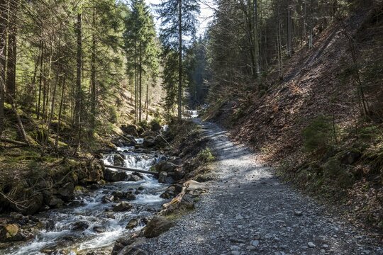 Hiking trail in Gaissalptobel with Gaissalpbach, Reichenbach, Oberstdorf, Oberallg&auml;u, Allg&auml;u, Bavaria, Germany