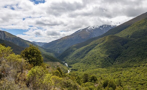 View of mountains and forest with Haast River, temperate rainforest, Haast Pass, West Coast, South Island, New Zealand