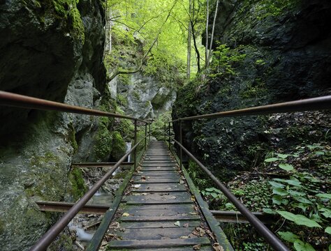 Climbing facilities in the Steinwandklamm canyon, Triestingtal valley, Lower Austria, Austria, Europe