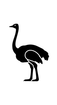 Black silhouette ostrich standing alone.