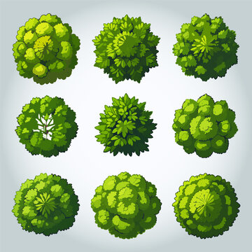 Ensemble de 9 Illustrations Silhouettes d'Arbres pour Plans de Jardins et Architecture, Vue d'en Haut, Nature et V&eacute;g&eacute;tation Vert Vecteur