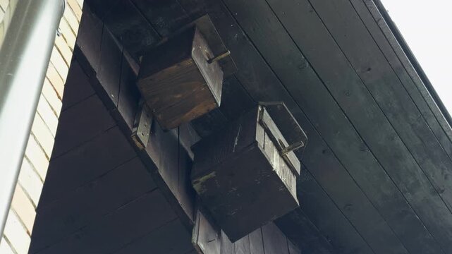 Old wooden birdhouses with peeling paint. Textured and aged birdhouses in muted shadowed ambiance