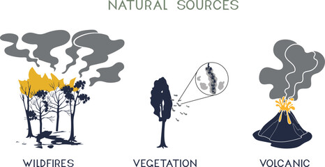 Natural air pollution sources infographic. Wildfires, vegetation emissions and volcanic eruption vector © Kazakova Maryia