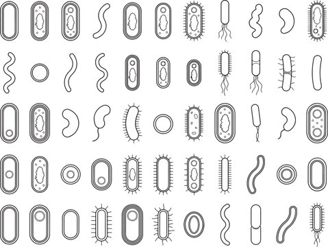 An artistic collection of diverse microorganism icons, showcasing various shapes like bacilli, cocci, spirilla, and vibrio, presented as clean line art for scientific illustration.