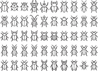Obraz premium A detailed illustration showcases a variety of beetle species, depicted in a clean, line-art style against a stark background, perfect for educational or design purposes.