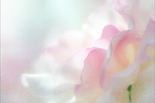 Soft Blurred Dreamy Florals Pastel Background. Abstract flowers in delicate soft focus with airy light, vintage texture, and romantic Y2K aesthetic creating a calm ethereal atmosphere.