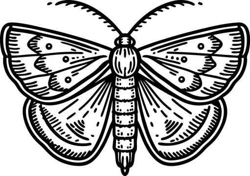 Vintage monochrome illustration of a symmetrical moth with detailed patterned wings and segmented body