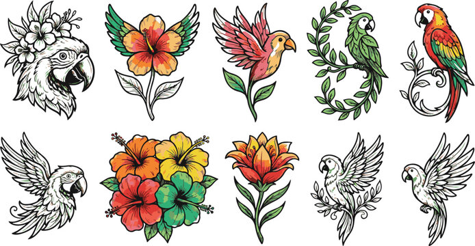 Colorful parrot and flower vector illustrations