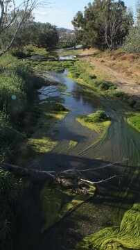 A river with a old bridge a sunny day. 4K Vertical. Velez Malaga. Spain.