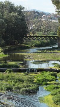 A old bridge in a river a sunny day. 4K Vertical. Velez Malaga. Spain.