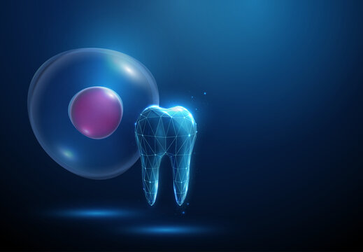 3d stem cell with tooth. Artificial tooth growth, regenerative dentistry, dental stem cell research, bioengineered teeth, tissue engineering cellular biotechnology concept
