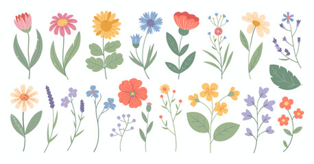 Fototapeta premium Set of spring and summer abstract hand drawn flowers. Floral cute doodle elements, wildflower, leaves and herb, plants, foliage. Colorful drawing brush, crayon, line. Vector illustration.