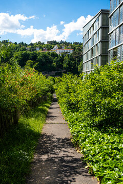 A leafy path leads through greenery toward apartments in Lyon&rsquo;s La Confluence neighborhood, where trees soften the modern urban landscape